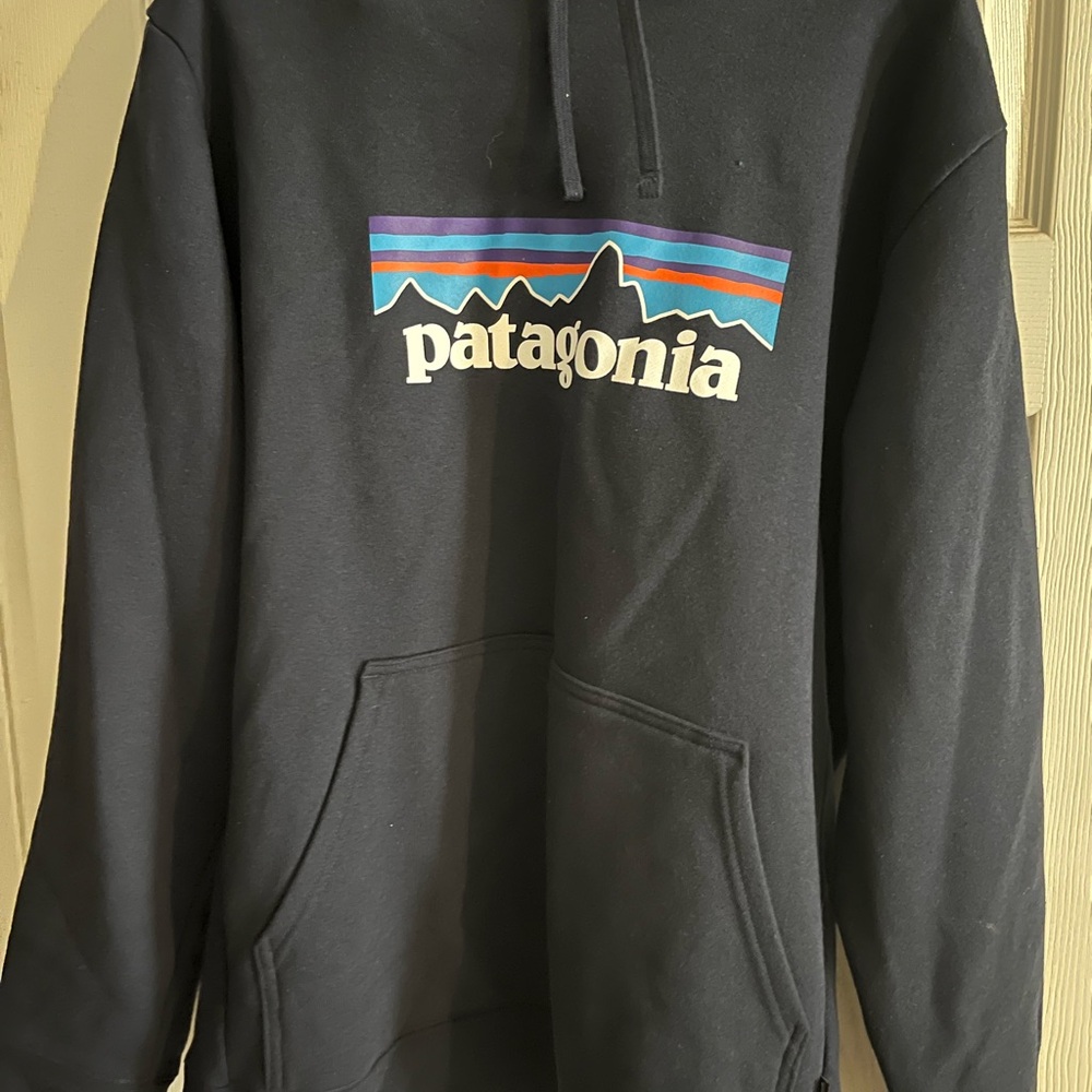 Patagonia Black Hoodie for Men